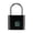 BK, variant on EGNMCR Bathroom Accessories Fingerprint Padlock, Smart Keyless Lock,Locker Lock, Biometric Metal Keyless Thumbprint Lock,, USB Rechargeable,For Locker, Backpack, Suitcase smart padlock