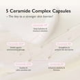 thumbnail image 4 of haruharu wonder Black Rice 5 Ceramide Barrier Moisturizing Cream 50ml, 4 of 4