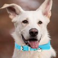 thumbnail image 5 of REK Candy Color Pet Collar Minimalist Cat & Dog Collar With (Adjustable Leather Neckband), 5 of 5