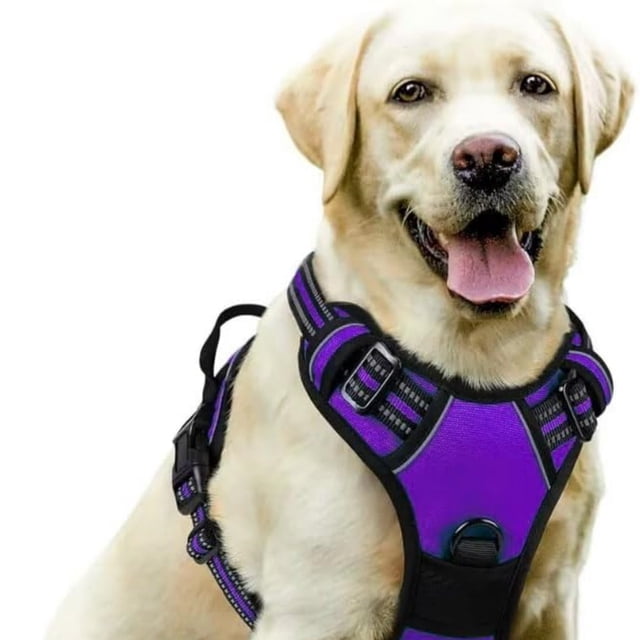 PawSafety No Pull Harness for - Ideal Solution for Everyday Use