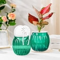 thumbnail image 5 of Dvruxg Self Watering Pots for Indoor Plants Planters with Drainage Holes Flower Pots Durable Plastic with Wick Rope and Reservoir(Green), 5 of 5