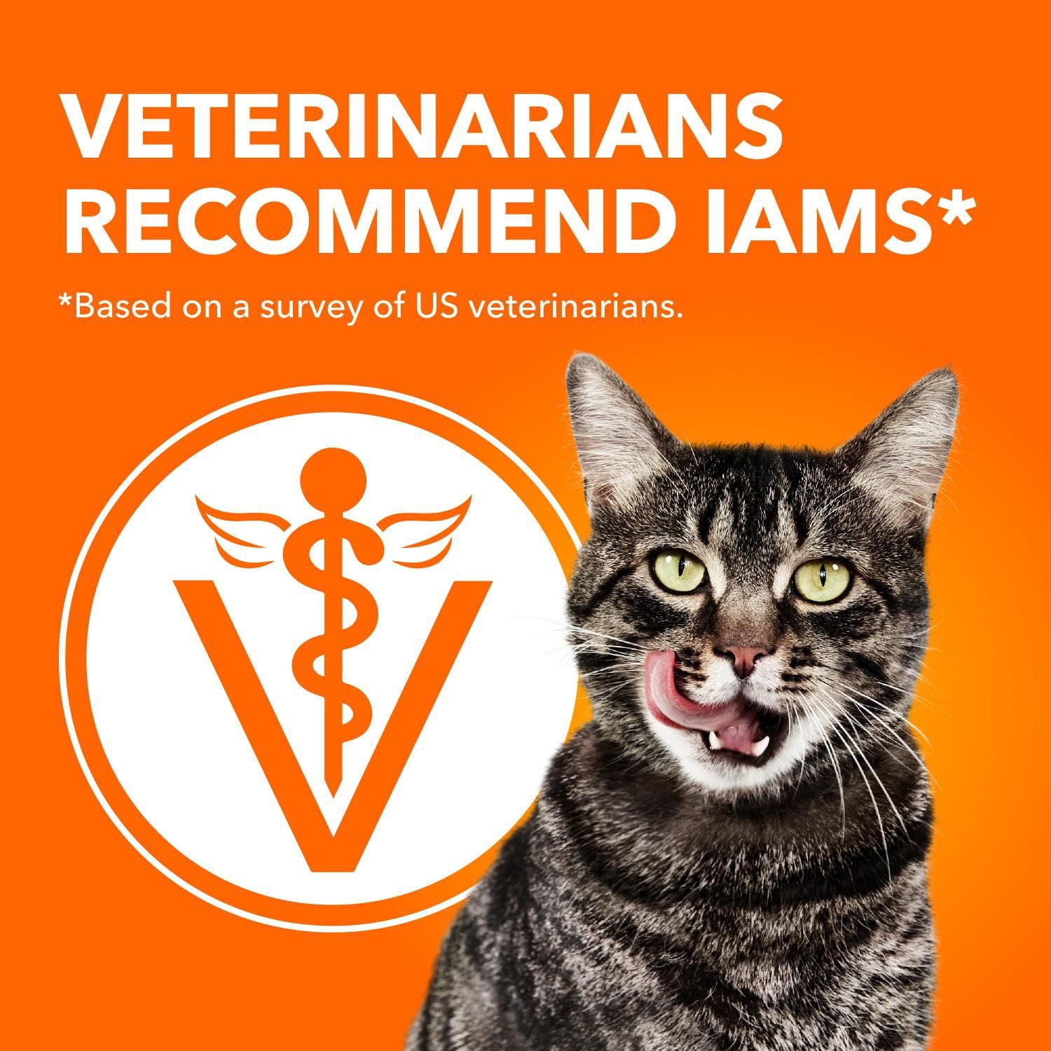 IAMS Santé PROACTIVE Poids Santé Nourriture Sèche pour Chats Adultes – au Poulet 1.6kg