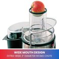 thumbnail image 4 of Total Chef 700W Juicin' Power Juicer, Surgical Steel Blade for Fast & Efficient Juicing, 4 of 9