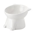 thumbnail image 1 of TIELUTT Bols Surélevés pour Chats avec Support et Base Réglables, Bol Lent Surélevé pour Chat, Bol pour Chien Lent, Bol pour Chien à Ralentir, Tapis de Bol D'Eau pour Animal, Petit Mangeoire Surélevée pour Animal de Compagnie pour D Moyen, 1 of 6