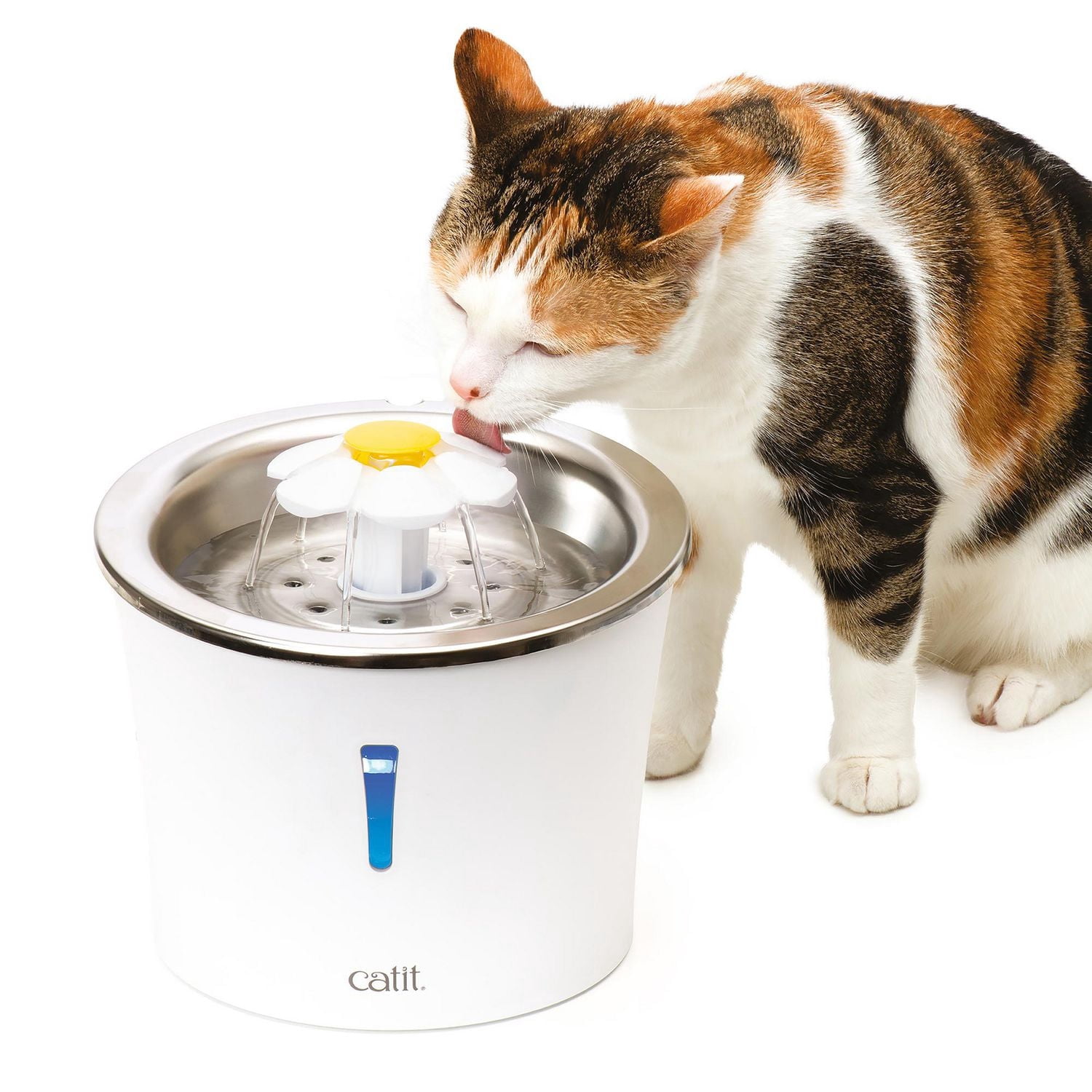 Catit Fontaine à Fleur pour Chats en Acier Inoxydable avec Ensemble Napperon, 3 L