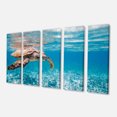 thumbnail image 2 of Grande Tortue de Mer à Bec-de-Pie - Impression Artistique Abstraite sur Toile, 2 of 3
