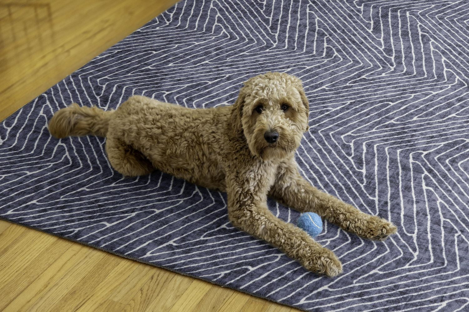 Fuller 5' x 7' Washable Area Rug, Grey and Ivory