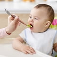 thumbnail image 4 of Meitianfacai Food Spoon Baby Fruit Scraping Mud Spoon, Baby Fruit Scraper Spoon Stainless Steel Double Head Food Grade Fruit Supplement Children's Tableware, 4 of 4