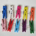 thumbnail image 4 of jifeng 3x20/50 Pcs Mini Pinces à Linge en Bois, Pinces à Dessin Colorées, 2 Pcs, 4 of 9