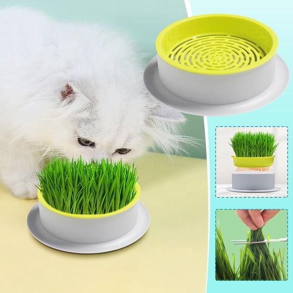 Kit de Culture d'Herbe à Chat Hydroponique Outoloxit - Pot de Plantation Auto-Arrosant de 4 Pouces, Jardinage Intérieur Sans Sol avec Graines d'Herbe de Blé pour Chats d'Intérieur, Germination Rapide et Nettoyage Facile
