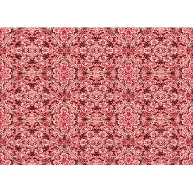 Ahgly Company Machine Washable Indoor Rectangle Transitional Light Coral Pink Area Rugs, 3' x 5'