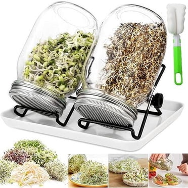 Pots de Germination, Germoir en Verre 950 ml avec, Germoir pour Graines, 2 Grilles, 2 Supports, 1 Bol de Germination, Pot de Germination pour Brocoli, Eau Céleri, Luzerne, Haricots Verts