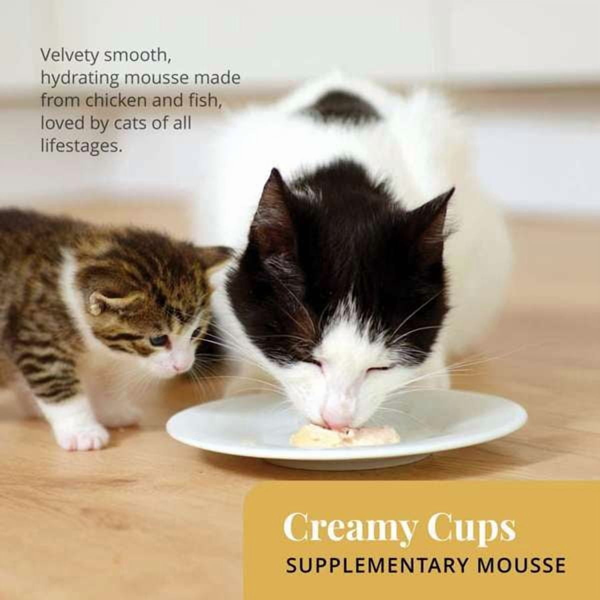 Mousse Catit Creamy Cups, Poulet avec ananas, 4 x 25 g