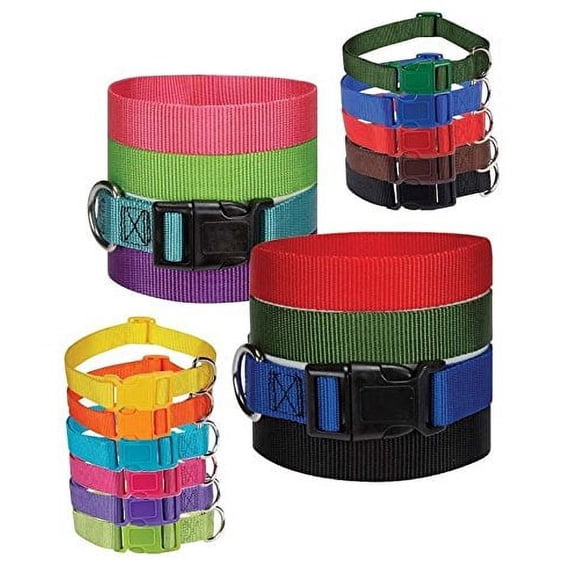 Zack & Zoey Collier pour Chien en Vrac, Bande de Litière en Nylon, Abri de Sauvetage pour Chiot, Choix de Taille et de Quantité (Moyen - 14 à 20 Pouces, 13 Colliers)