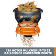 thumbnail image 4 of Positec Usa Inc 13 Amp Leaf Mulcher  WG430, 4 of 6
