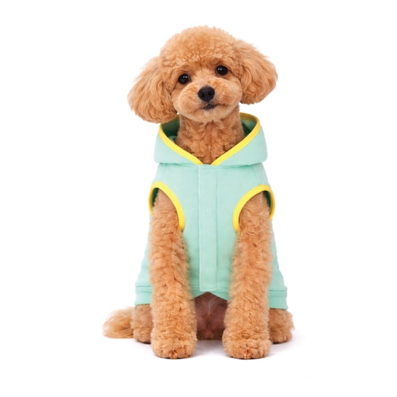 One Paw, Mint Hooded Dog Sweatshirt with Contrast Trim , Soft Fabric, for Dogs, Multiple Sizes, Mint Colour, Unisex