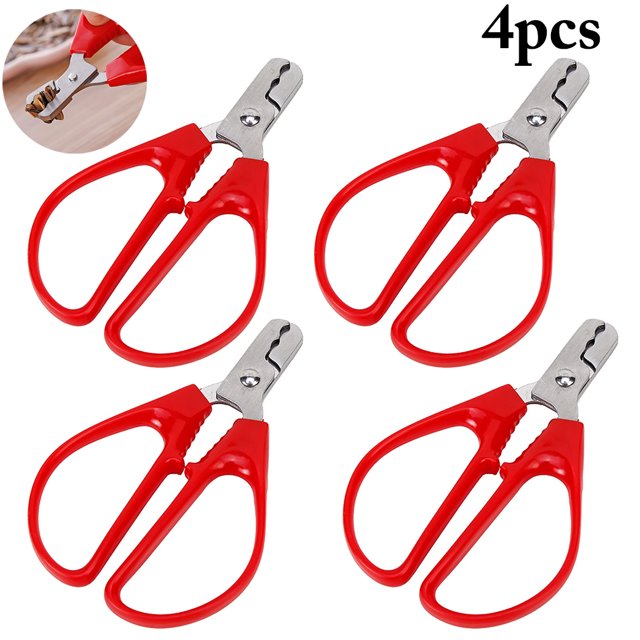 Melon Seed Plier Stainless Steel Ergonomic Melon Seed Scissors Kitchen Hand Tool