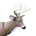 thumbnail image 2 of Primos Hunting Cicatrice Visage Cerf Queue Blanche Debout avec Mouvement 62601, 2 of 5