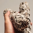 thumbnail image 4 of Lutabuo Natural White Sage Bundle Smudge Sticks California Pure Leaf Indoor Purification, 4 of 9