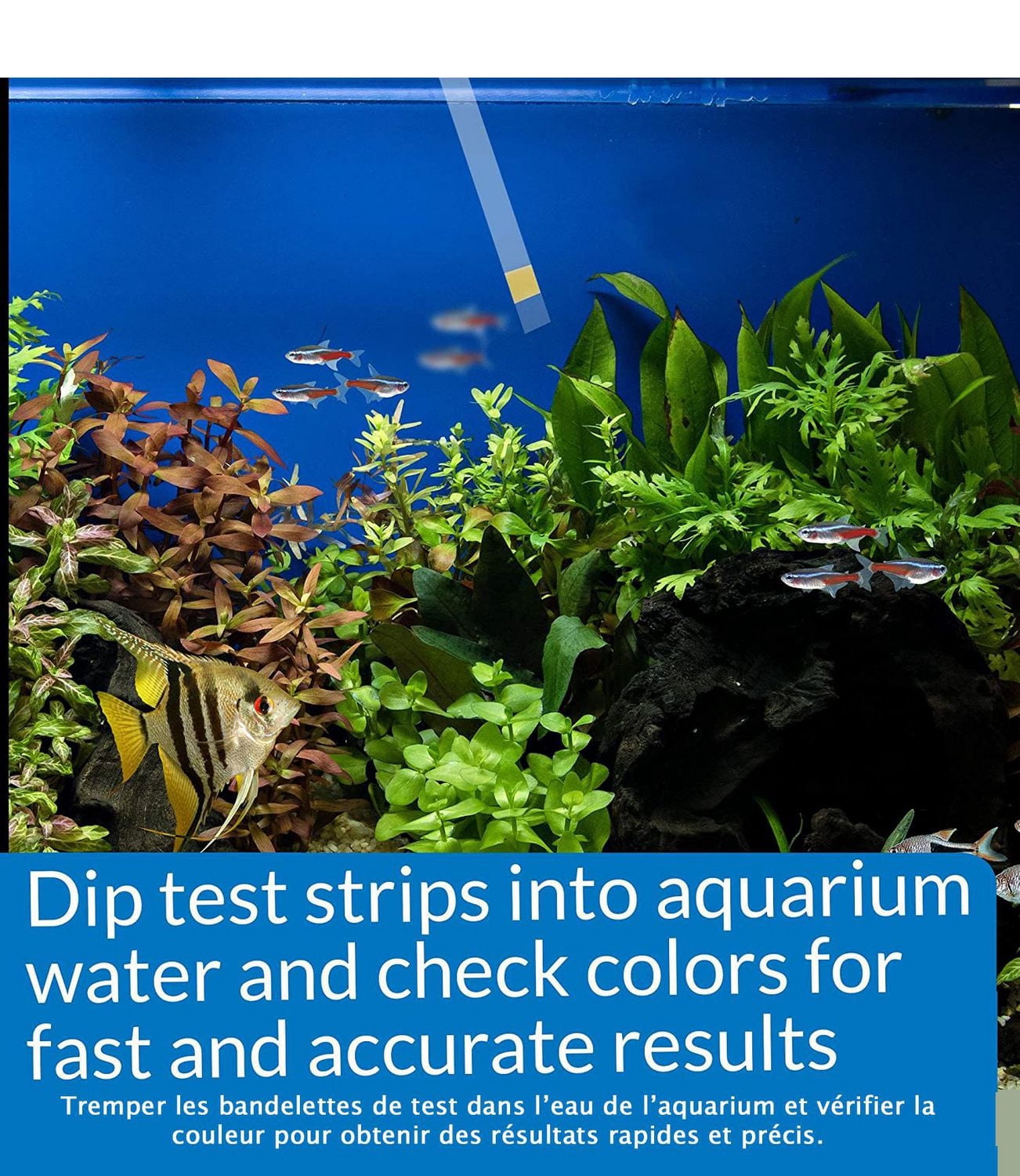 API Ammonia Test Strips, Freshwater and Saltwater Aquarium, 25-Count
