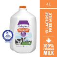 thumbnail image 1 of Dairyland Lactose free 1% Partly Skimmed Milk, 1 of 6