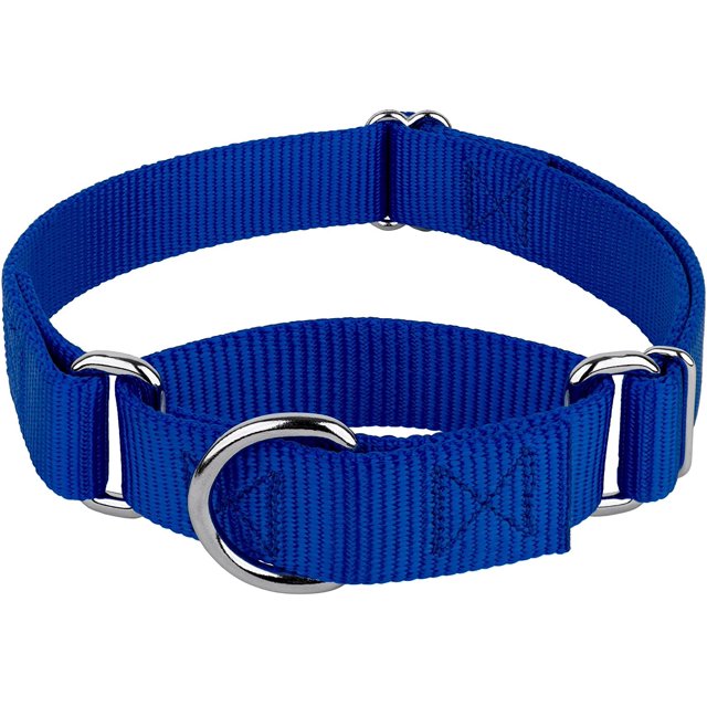 Country Brook Petz Martingale Dog Collar - Heavy-Duty Training Collar with No Buckle - Service Dog Collar for All Pups - Vibrant, Colorful Collection (Royal Blue, 3/4 Inch, Small)