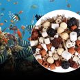 thumbnail image 4 of Aquarium Ammonia Remover Filter Aquarium Fish Tank Filter Media 500G, 4 of 8