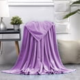 thumbnail image 1 of Solid Color Flannel Blanket Gift Gift Velvet Conditioning Blanket Casual Cover Blanket Solid Color Blanket 59.05x39.37 Inches, 1 of 7