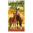 thumbnail image 1 of Island Gear Profile 30"x60" 100% Cotton Velour Beach Towel, 1 of 6