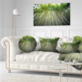 thumbnail image 1 of Design Art - Forêt de Bambous de Kyoto Japon., 1 of 4