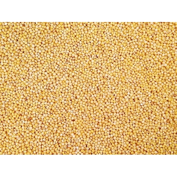 Millet Biologique Décortiqué