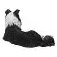 thumbnail image 3 of BORDER COLLIE Couché, 3 of 4