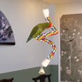 thumbnail image 3 of GROWTH TANK Bendable Parrot Climbing Rope Swing Perches Hanging Chew Perches Bird Rope Perch 19.69inch, 3 of 9