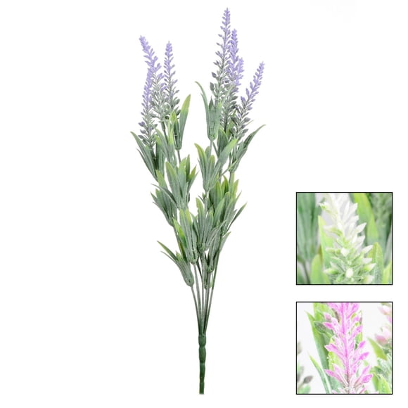Lavender bush