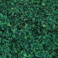 thumbnail image 4 of pitrice Miniature Leaf Diorama for Model Railroad Micro Landscape Architecture Model dark green, 4 of 8