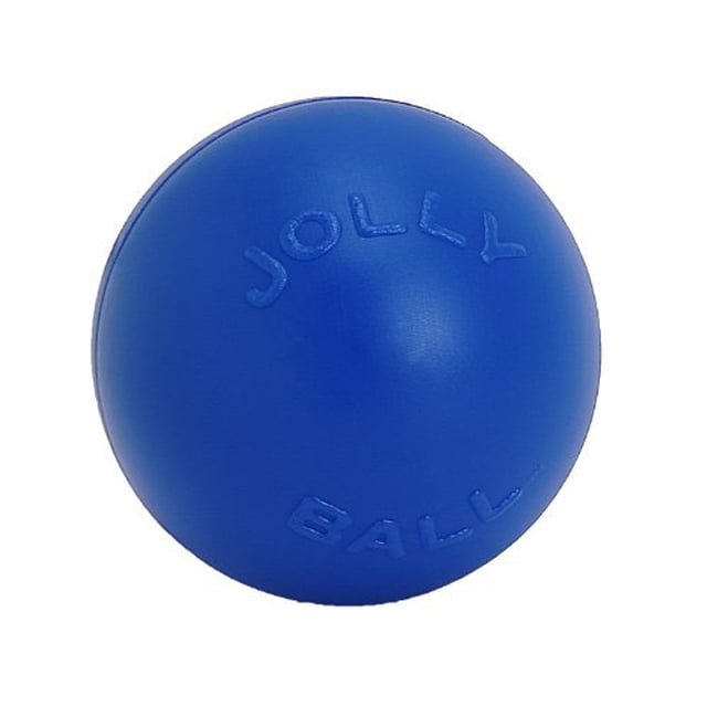CHUANK Push-N-Play Ball Blue 10 inch Interactive Hard Plastic Toy for Dogs