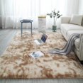 thumbnail image 1 of POINTERTECK Big Clearance! Long Plush Area Rug Ultra Soft Fluffy Washable Non-Slip Decorative Floor Mat For Living Room Bedroom Playing Room, 1 of 6