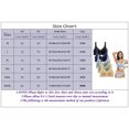 thumbnail image 3 of B91xZ Sport Soutien-Gorge pour Femmes, Impact Élevé, Couverture Complète, Sans Fil, Grande Taille, Vert TTG, 3 of 5