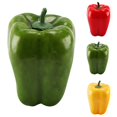 thumbnail image 2 of Coofit Artificial Pepper Foam Lifelike Realistic Creative Faux Pepper Fake Pepper, 2 of 10