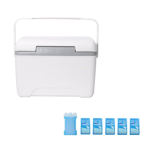 8L Insulated Lunch Container Cool Box for Barbecue Road Trips Outdoor White
