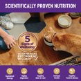thumbnail image 5 of Wellness, Feline Adult - GF Complete Health - Healthy Weight - Chicken - Dry Cat Food, 5 of 5