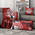 thumbnail image 2 of MLS Toronto FC Body Pillow (18" x 36") by Nemcor, 2 of 5