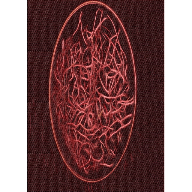 Ahgly Tapis Rectangulaire Intérieur Lavable en Machine Rouge Brique, 2 Pieds x 4 Pieds