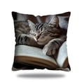 thumbnail image 2 of Cute Sleeping Cats And Book Pillowcase Short Pile Living Room Sofa Pillowcase Soft Cushion Cover, 2 of 6