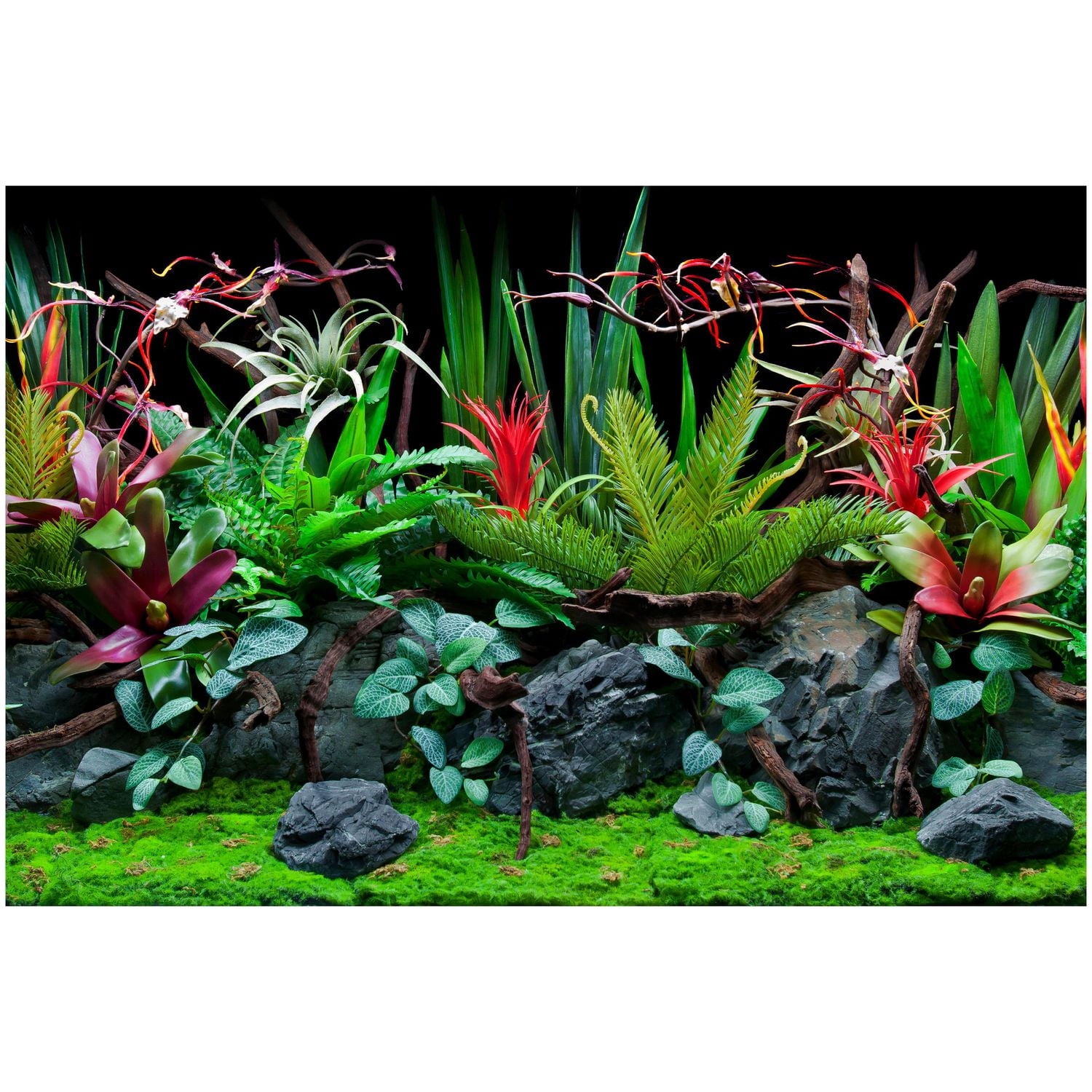 Marina Fond d'Aquarium Double Face, Flore de Jungle et Dentelle Rouge, 12 Pouces x 24 Pouces