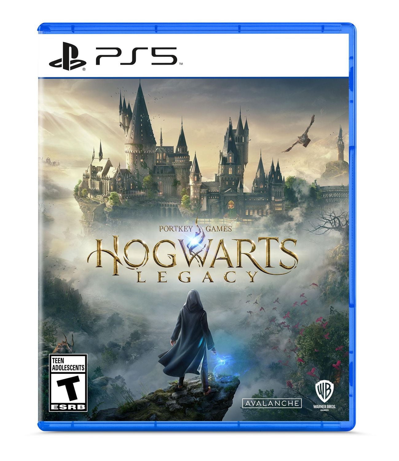 Jeu vidéo Hogwarts Legacy pour (PlayStation 5)