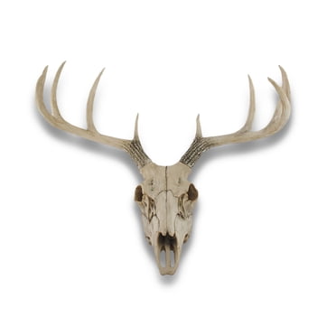 Deer Skull Wall Sculpture, 19.5 Inch 10-Point Buck Replica