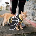 thumbnail image 5 of FONDOTIN 1 Set of Cat Leash Set Felt Multi  Design for Pet Outdoor Walks, 5 of 5