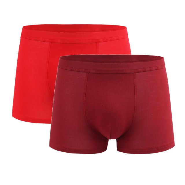 Plebaso Mens Underwear Boxer Briefs Comfortable Soft Underwear Short Leg Stretch Boxers for Men(2 Pack)