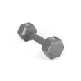 thumbnail image 1 of CAP Barbell Cast Iron Hex Dumbbell, 1 of 6